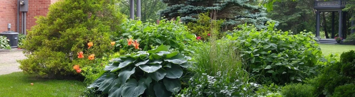 Landscaping Sydney Backyard Renovations Sydney