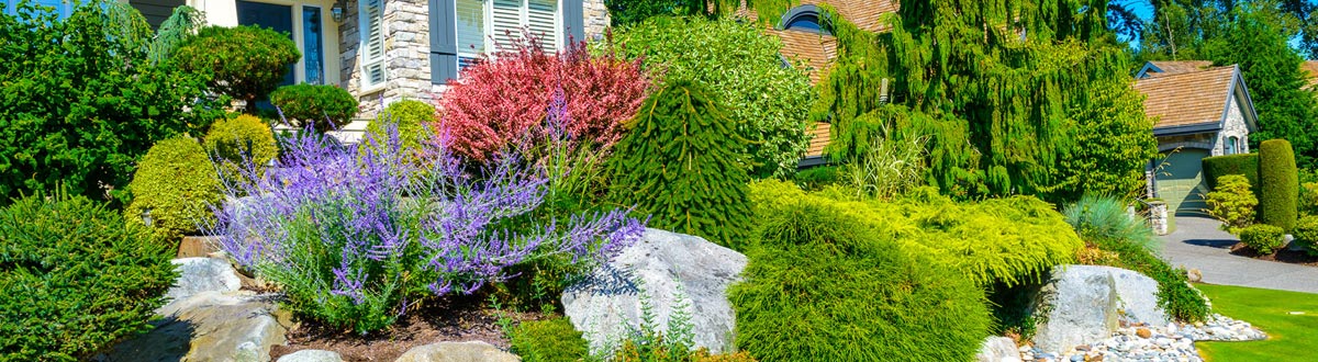 Landscaping Turramurra Backyard Renovations Turramurra